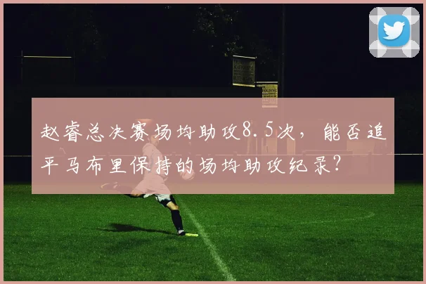 赵睿总决赛场均助攻8.5次，能否追平马布里保持的场均助攻纪录？
