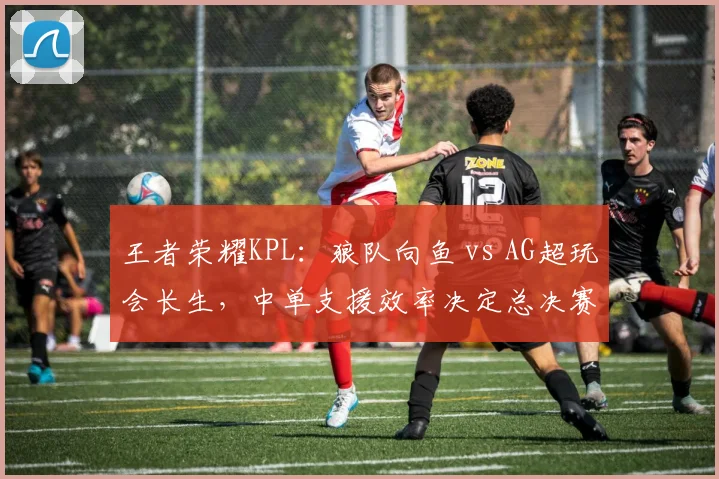 王者荣耀KPL：狼队向鱼 vs AG超玩会长生，中单支援效率决定总决赛走向